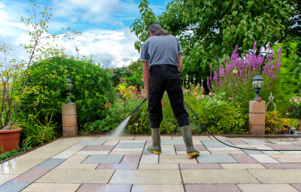 Best Parking Lot and Garage Cleaning  in Salisbury, MD